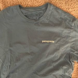 Patagonia Mens Shirt